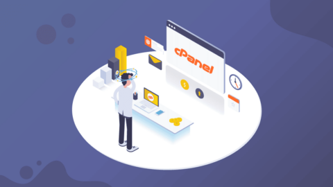 Can You do SEO without access to Cpanel?